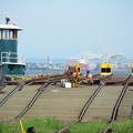 D7K_1608a.jpg