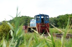 D7K_1674a.jpg