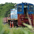 D7K_1675a.jpg