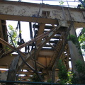 IMG_9729.JPG