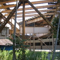 IMG_9731.JPG