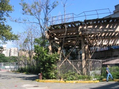 IMG_9734.JPG
