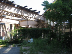 IMG_9735.JPG