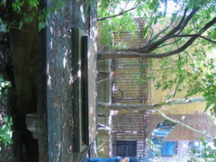 IMG_9738.JPG