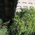 IMG_9752.JPG