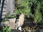 IMG_9753.JPG