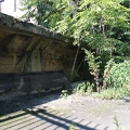 IMG_9754.JPG