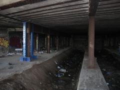IMG_9770.JPG