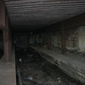 IMG_9771.JPG