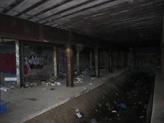 IMG_9772.JPG