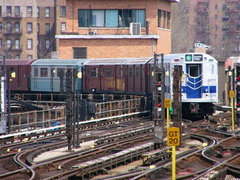 P1000135