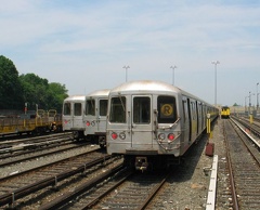 IMG_0493a-50