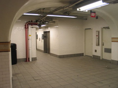 IMG_9394.jpg