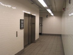 IMG_9403.jpg