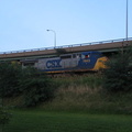 IMG_0051.JPG
