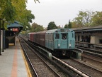 IMG_0946.jpg