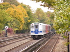 P1000548.jpg