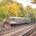 P1000550a.jpg