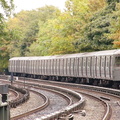 P1000558a.jpg