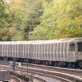 P1000559a.jpg