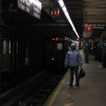IMG_2091.jpg