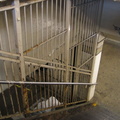 Parkchester station (Pelham Line), mezzanine. Photo taken by Brian Weinberg, 12/19/2004.