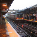 IMG 2537a