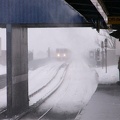 P1010026a.jpg