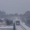 P1010043a.jpg
