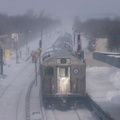 P1010067.jpg