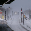 P1010072a.jpg