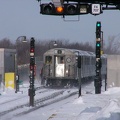 P1010075a.jpg