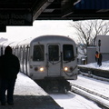 P1010079a.jpg