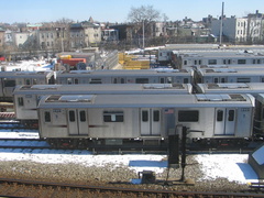 IMG_2904.jpg