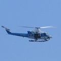 IMG_3737a.jpg