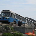 IMG_3764.jpg