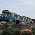 IMG_3765.jpg