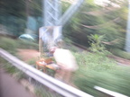 An artist painting a painting of the underside of the Henry Hudson Bridge. Photo taken from a bus on Palisade Ave in Riverdale.