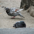 IMG_0037.jpg