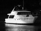 IMG 0284bw