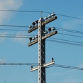 a pole. Photo taken by Brian Weinberg, 1/8/2006.
