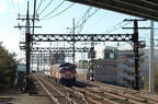 DSC_2814a.jpg
