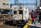 DSC_2826a.jpg