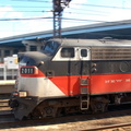 DSC_2847b.jpg