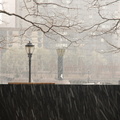 DSC_3392.JPG