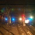 DSC_9098q.jpg