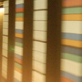 DSC_9105q.jpg