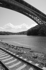 DSC_5865bw.jpg