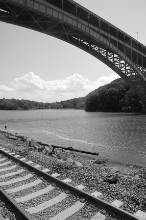 DSC_5865bw.jpg