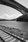 DSC_5865bw.jpg